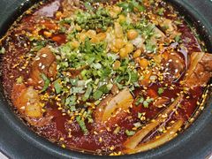 -青花椒花椒鱼(合生汇店)