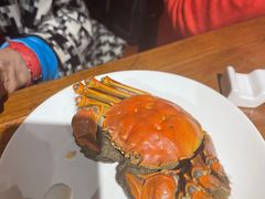 -金枝玉叶上海人家食府(三里河店)