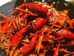 小龙虾-巴厘龙虾·榜首油焖大虾(音乐学院·沿江酒馆店)