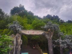 -王顺山国家森林公园