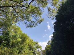 -雀儿山公园