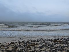 -海口绿发希尔顿酒店-田园汇自助餐·三文鱼·海鲜