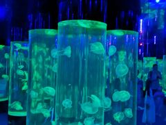 -成都浩海立方海洋公园