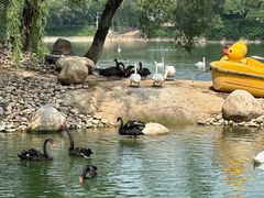 -石家庄市动物园