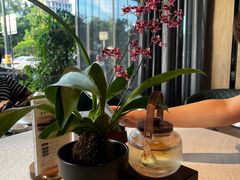 -晋江荣誉国际酒店·港誉茶餐厅