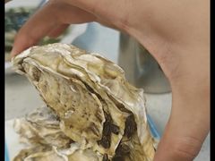 -鼓歌海鲜舫·手抓海鲜(大学城店)