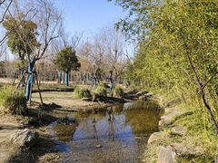 -上海长兴岛郊野公园