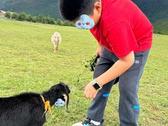 -玉湖村