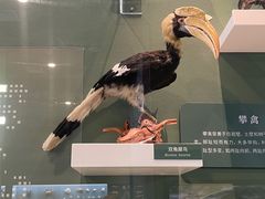 -国家自然博物馆