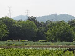 -八卦田遗址公园