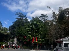 -广州市流溪河国家森林公园