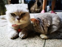 -老屋咖啡