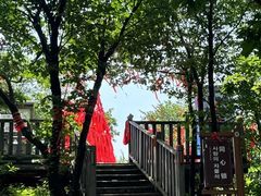 -帽儿山国家森林公园