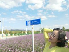 -羊亭河湿地公园