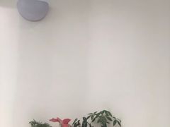 -艾薯夫妇Aysh(福田星河COCOPark店)