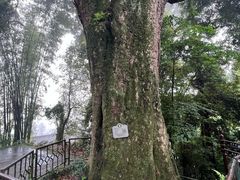 -峨眉山风景名胜区