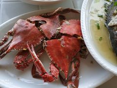 -胖大嫂渔家排档·全海景餐厅(渔村店)