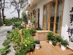 -DORA kids 朵拉儿童摄影花园店