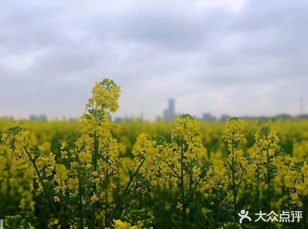 This is a life class