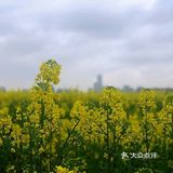 This is a life class