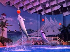 -海合安武汉极地海洋公园