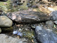 -西安金龙峡风景区