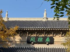 -灵谷景区