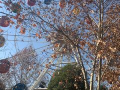 -长乐公园游乐场