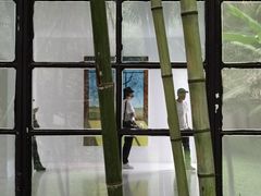 -胶囊画廊