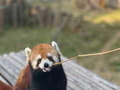 -泉州海丝野生动物世界