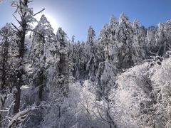 -海螺沟风景区