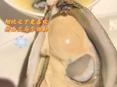 -Oyster Talks 四度蚝法餐厅