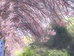 -亦庄创意生活广场