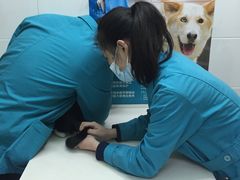 -甄爱宠物医院(疏影路店)