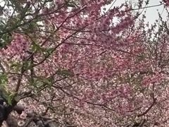-保定东湖公园(莲池区)