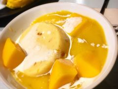 Mango&nbsp;Salsa-Mango Tango