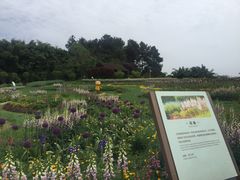 -保利石象湖景区