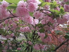 -芳满庭·江浙小馆(1912店)