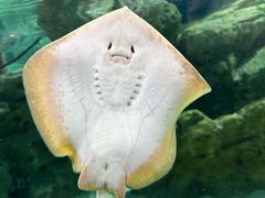 -珠海长隆海洋王国
