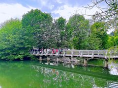 -波斯托伊纳溶洞