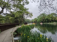 -花溪公园