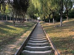 -永定河休闲森林公园