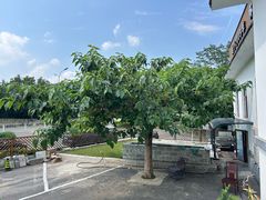 -钰田大院•怀柔本土菜(雁栖湖店)