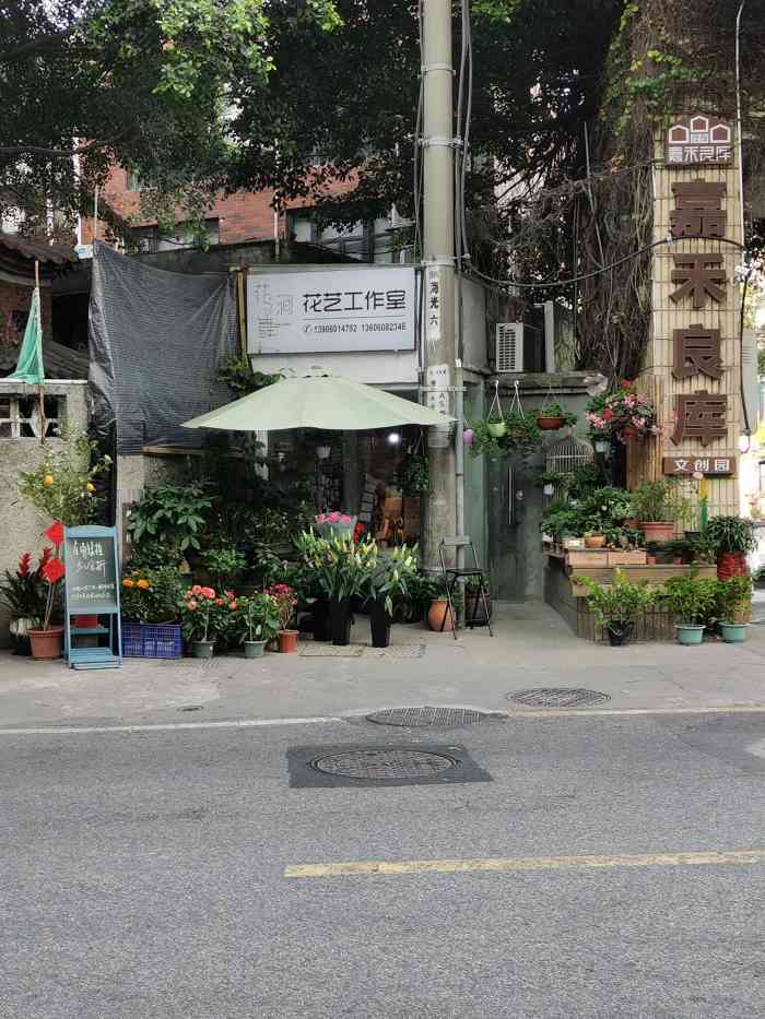 花涧舞花艺工作室-"藏在文屏路边的花艺店,店后的绿植展示区别.
