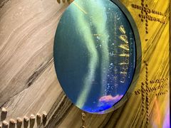 -莉莉海堂HAITANG·烤鸭(国贸商城店)