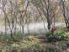 -帽儿山风景区