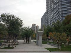 -木塔寺遗址生态公园