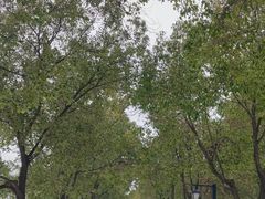 -武昌江滩