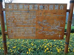 -重庆彩云湖湿地公园