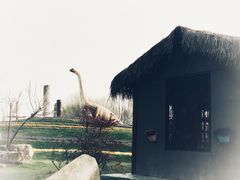 -南通洲际绿博园